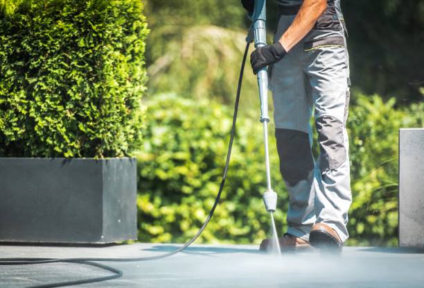 Best Driveway Pressure Washing  in Twentynine Palms, CA